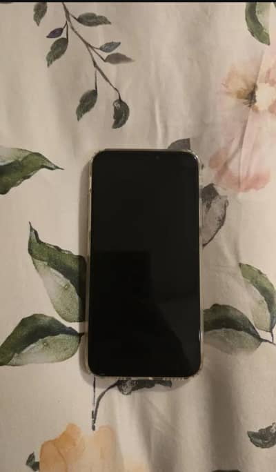Apple iPhone X
