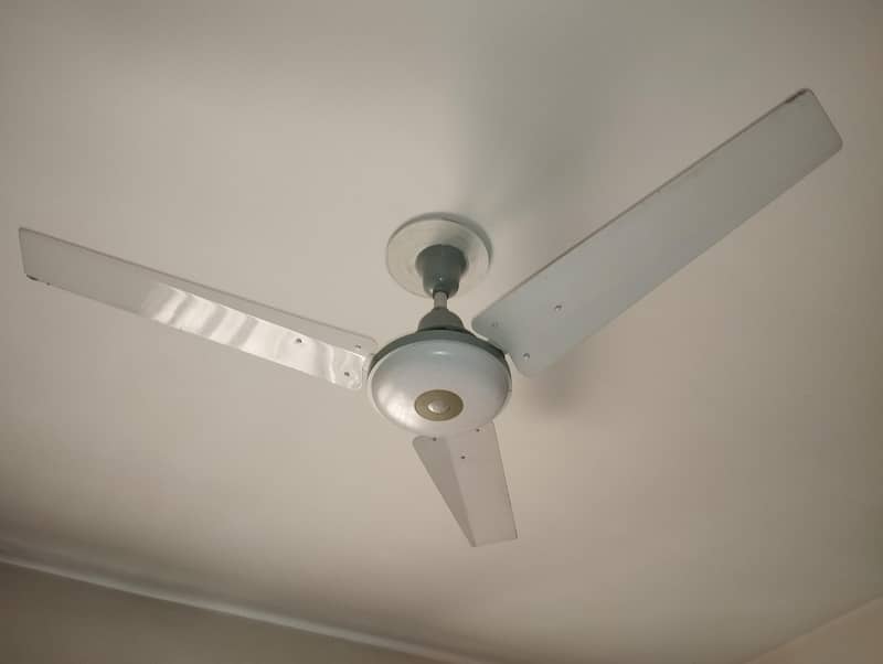 ceiling fans 1