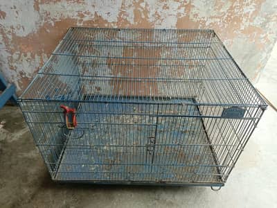Hens, pigeons, birds Cage