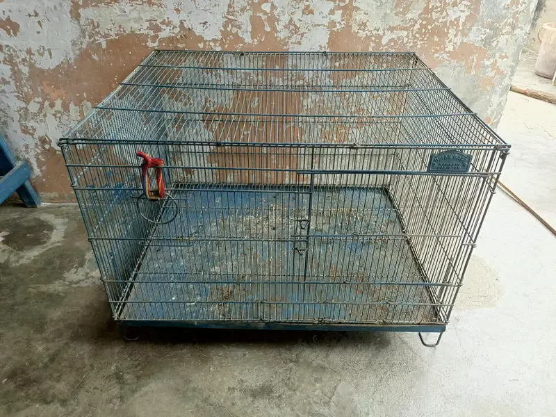 Hens, pigeons, birds Cage — photo 3