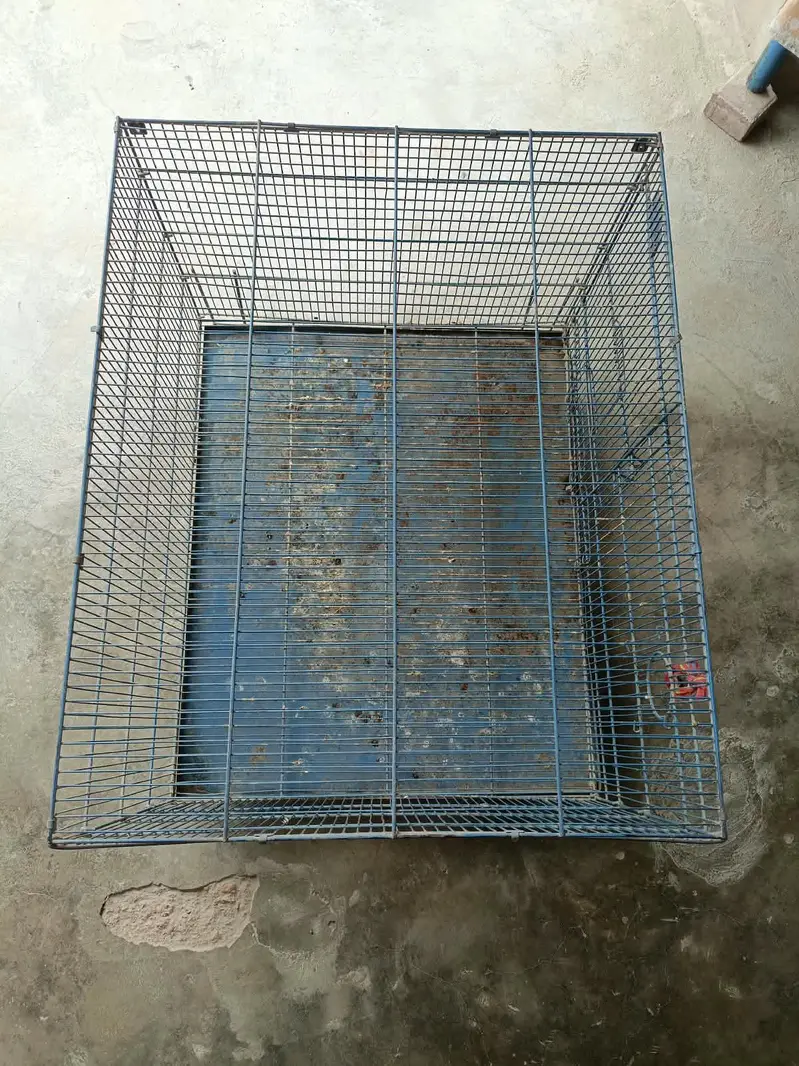 Hens, pigeons, birds Cage — photo 4