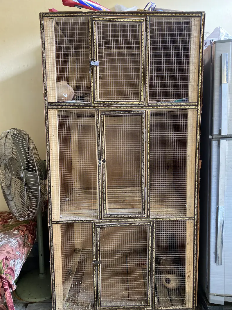 Hens cage — photo 2