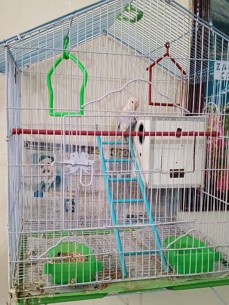 breeder pair 2