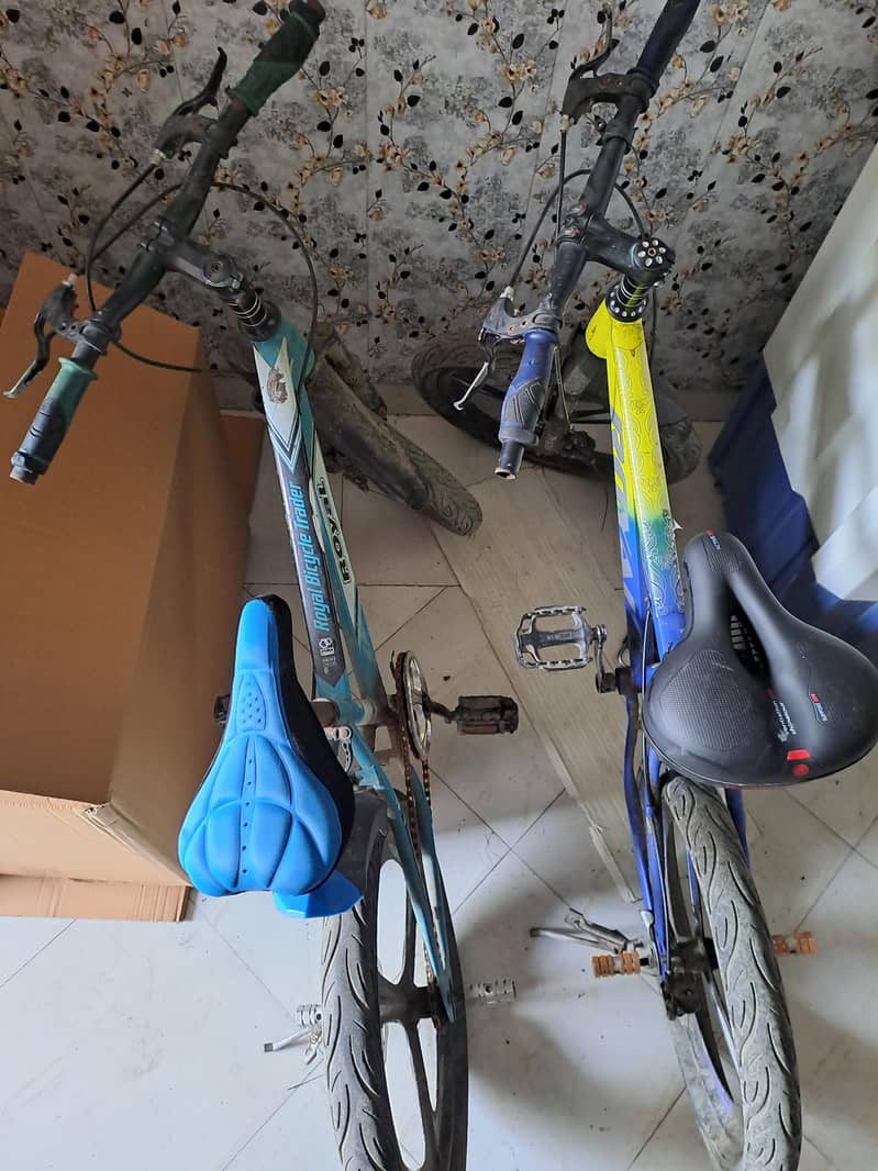 cycle size 20 0