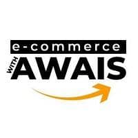 E-commerce and Shopify Assistant 0