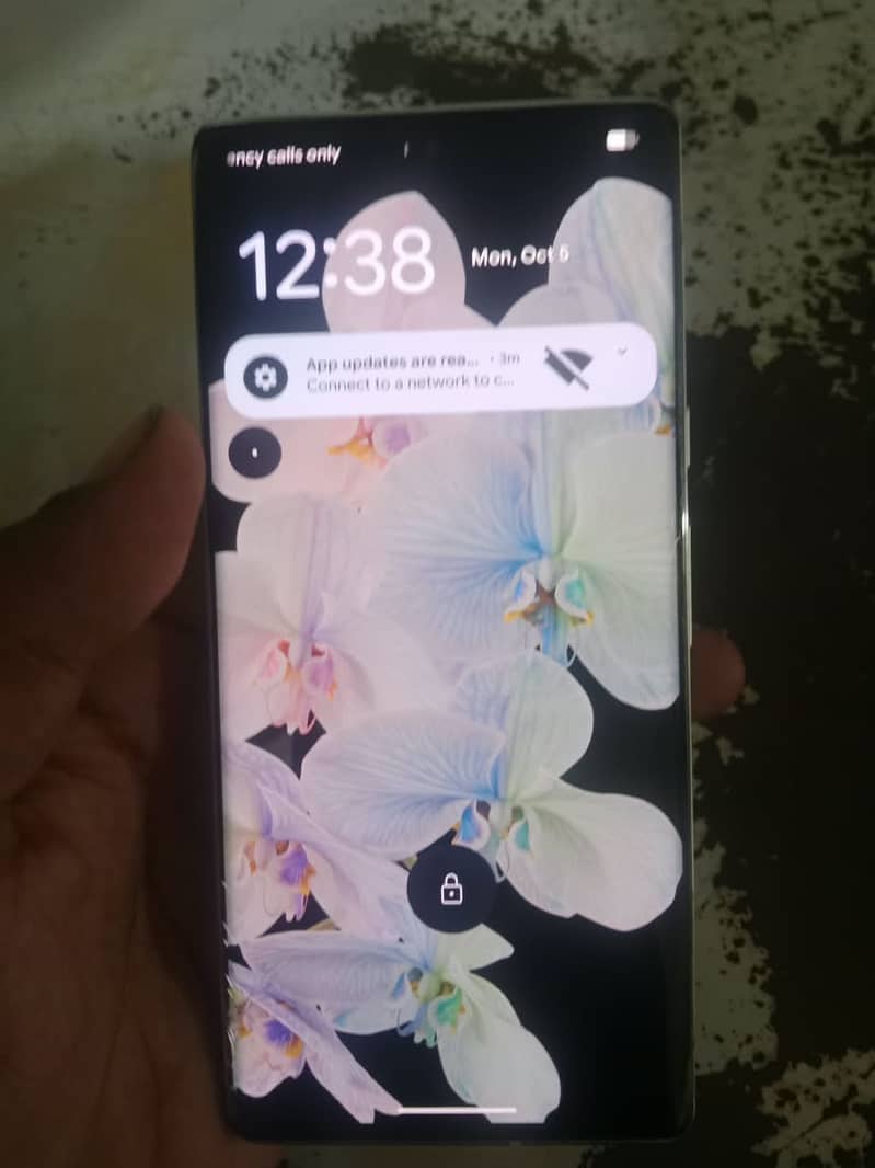 Google Pixel 6 Pro 2