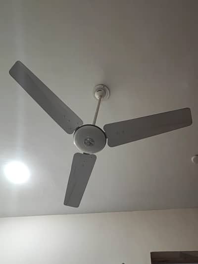 Pak fan urgent for sale only
