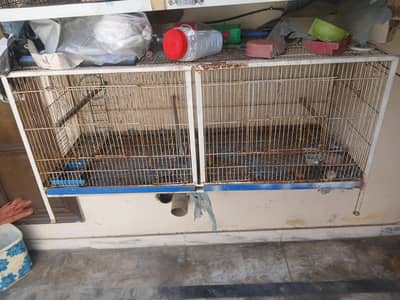 BIRD CAGE FOR SALE || STRONG CAGE