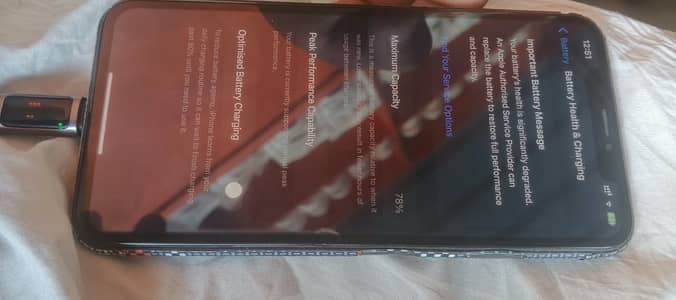 Apple iPhone XS Max 256Gb