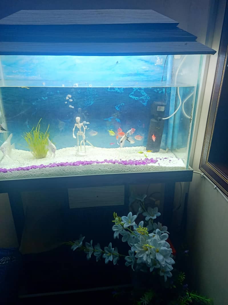 aquarium 0