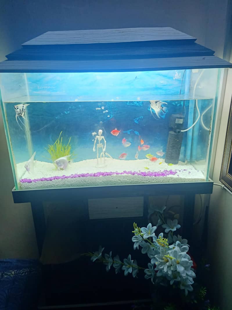 aquarium 2