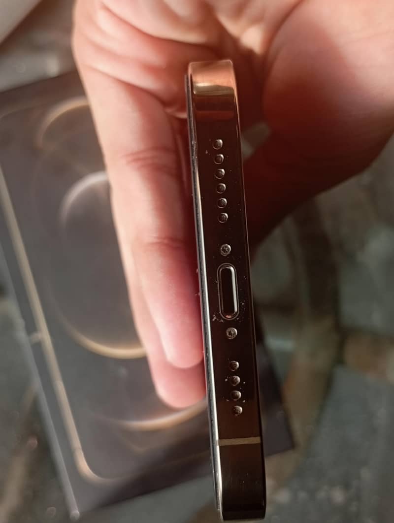 Apple iPhone 12 Pro Max 1