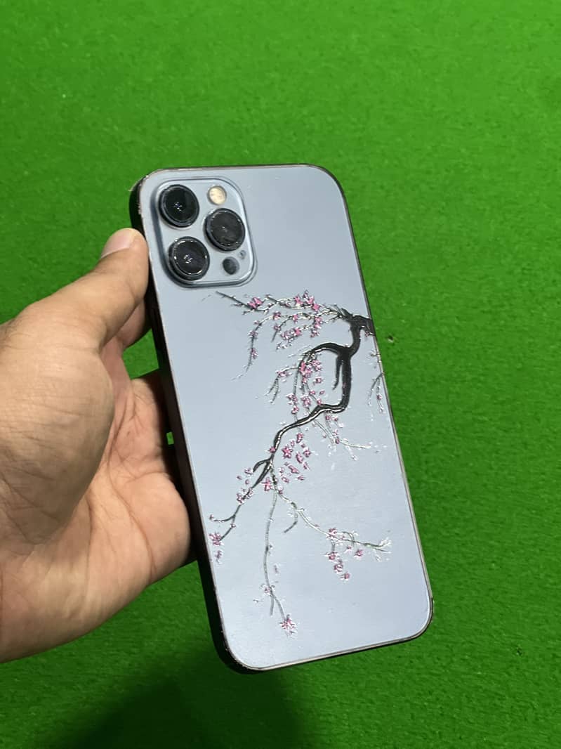 Apple iPhone 12 Pro Max 5