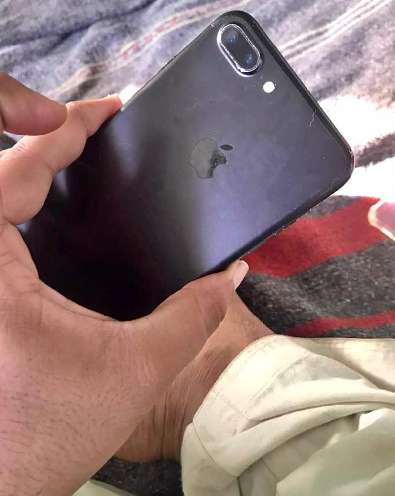 7plus pta approved 2