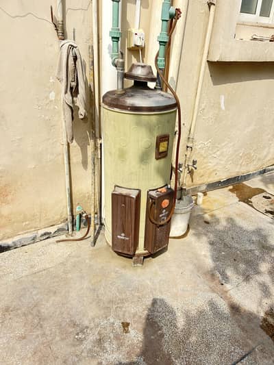 Geyser for sale