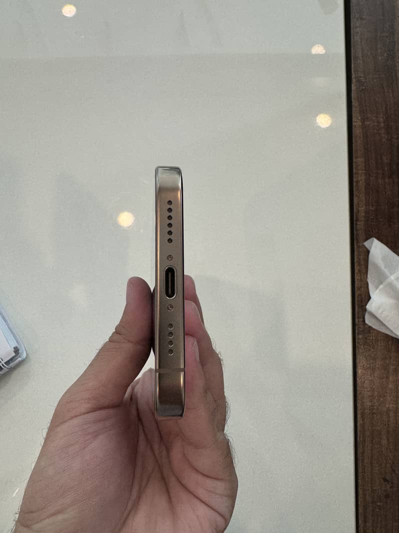 Apple iPhone 16 Pro Max 1