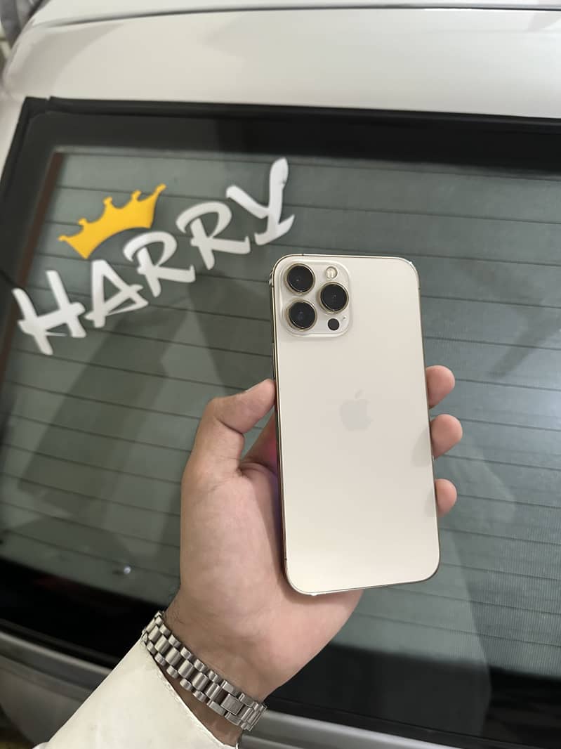 Apple iPhone 13 Pro Max 1