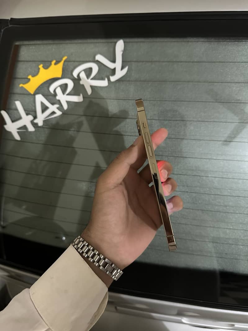 Apple iPhone 13 Pro Max 2