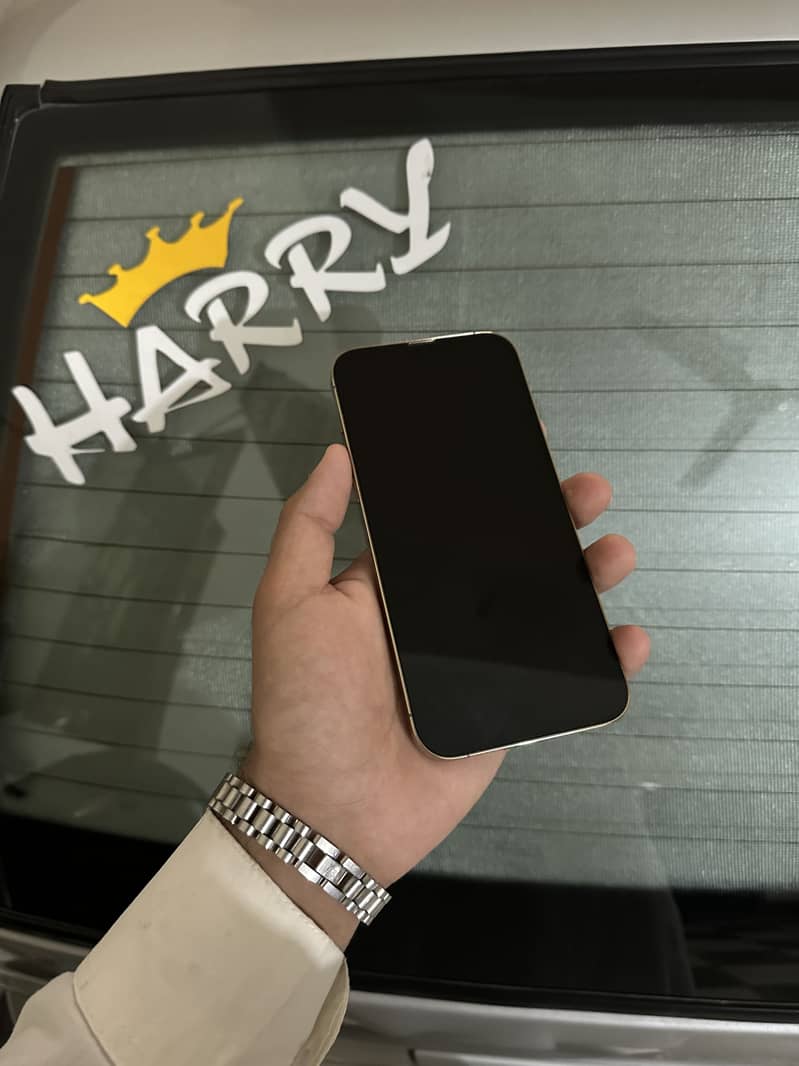 Apple iPhone 13 Pro Max 3