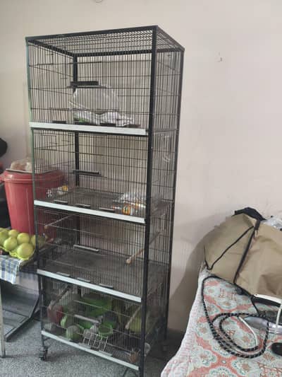 Cage ( parrot) for sale