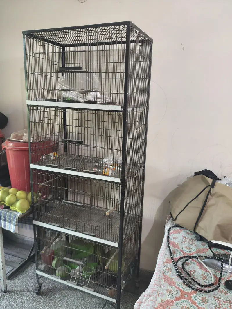 Cage ( parrot) for sale — photo 2