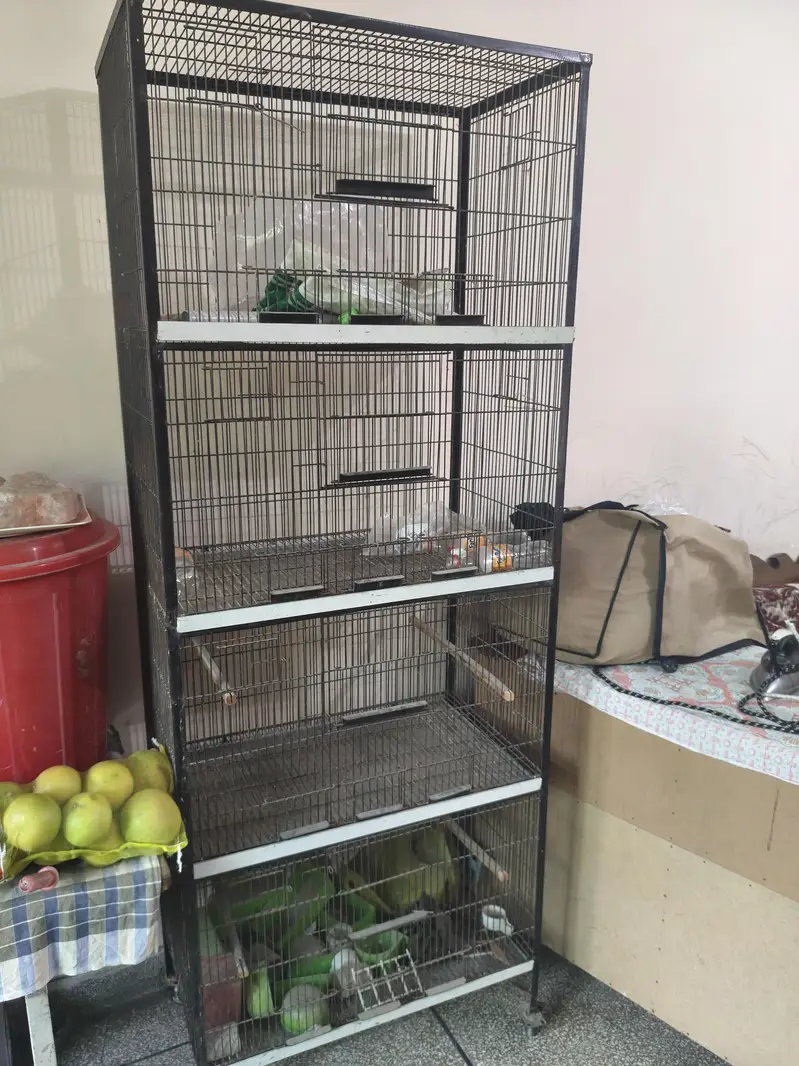 Cage ( parrot) for sale — photo 3
