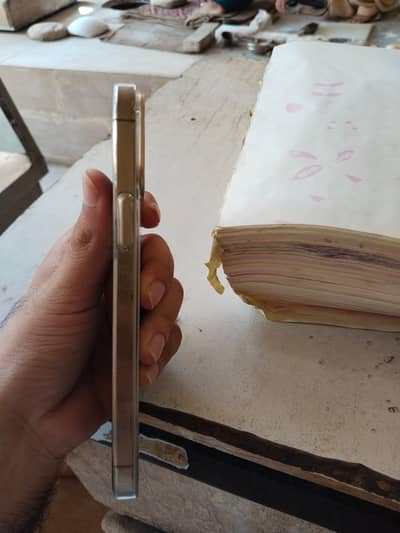 Apple iPhone 12 Pro Max