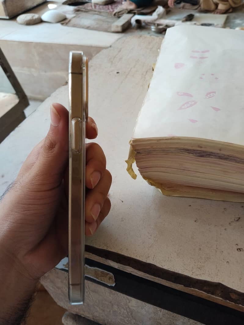Apple iPhone 12 Pro Max 0