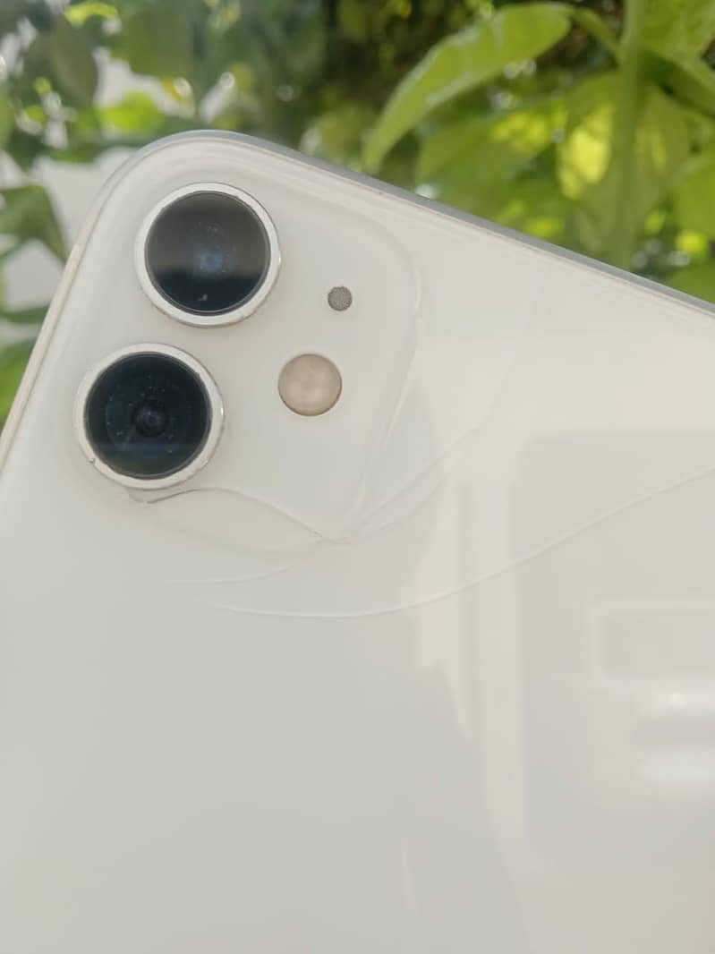 Apple iPhone 11 0