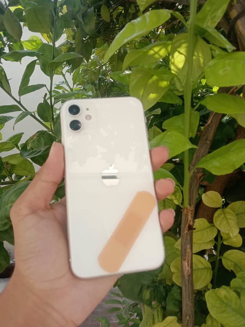 Apple iPhone 11 1