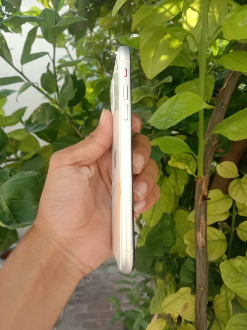 Apple iPhone 11 2
