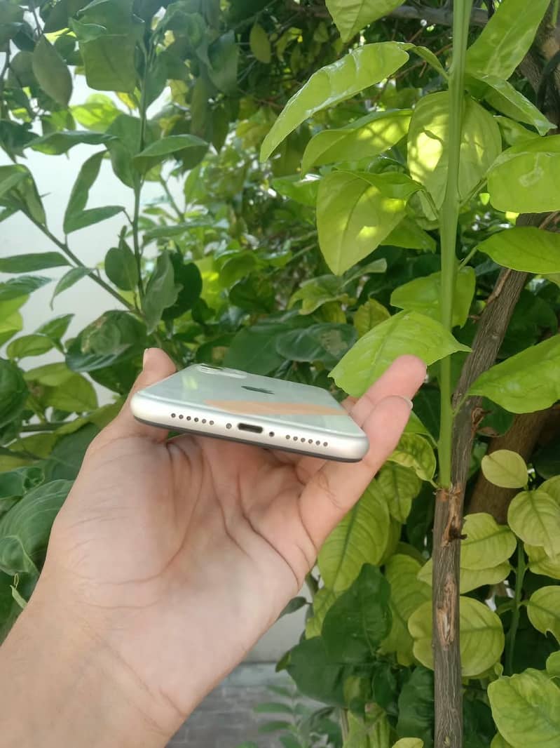 Apple iPhone 11 3