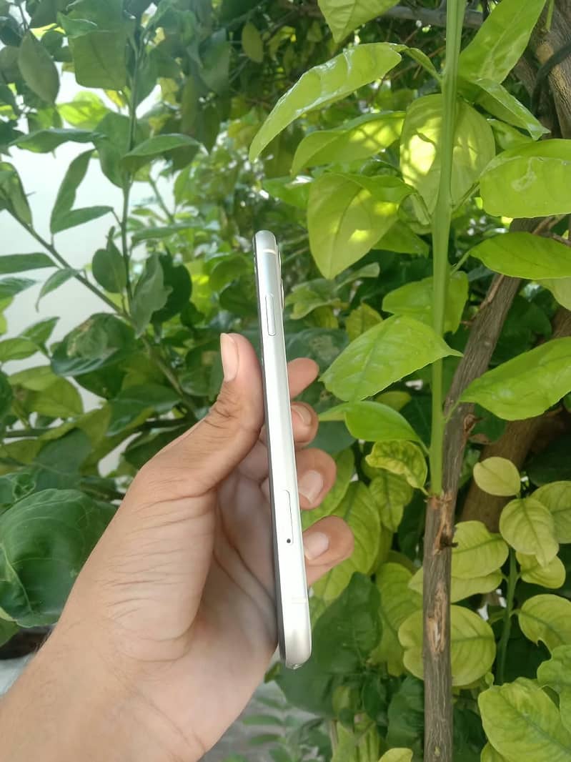 Apple iPhone 11 4