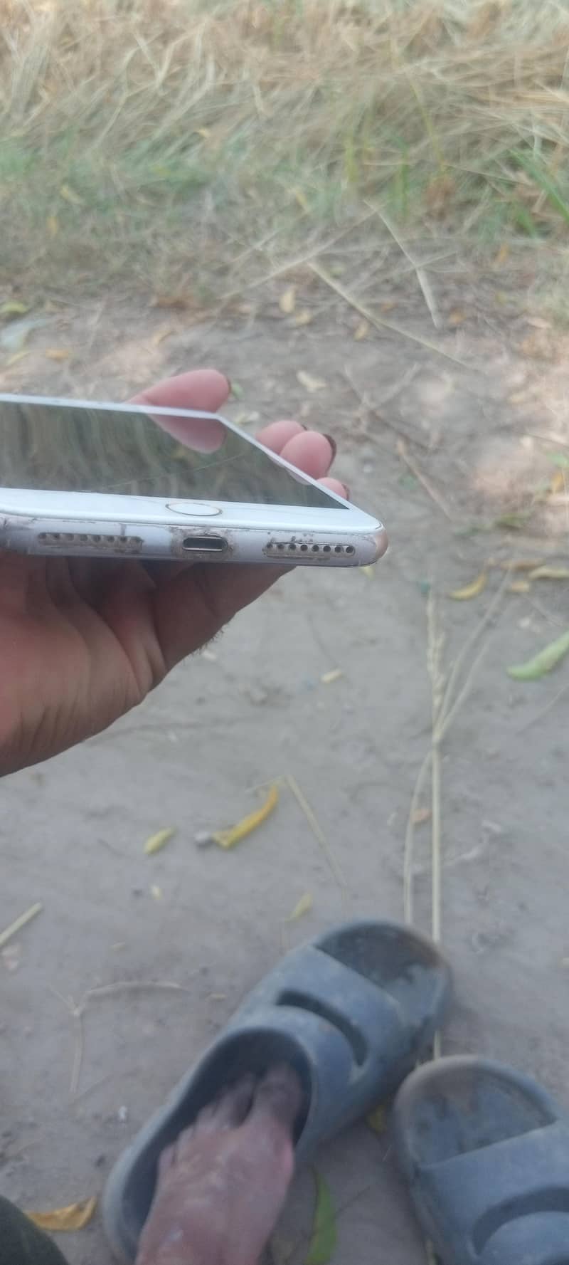 Apple iPhone 8 Plus 1