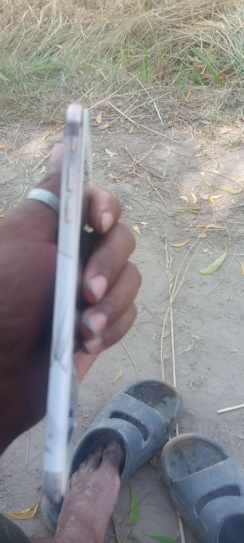 Apple iPhone 8 Plus 3