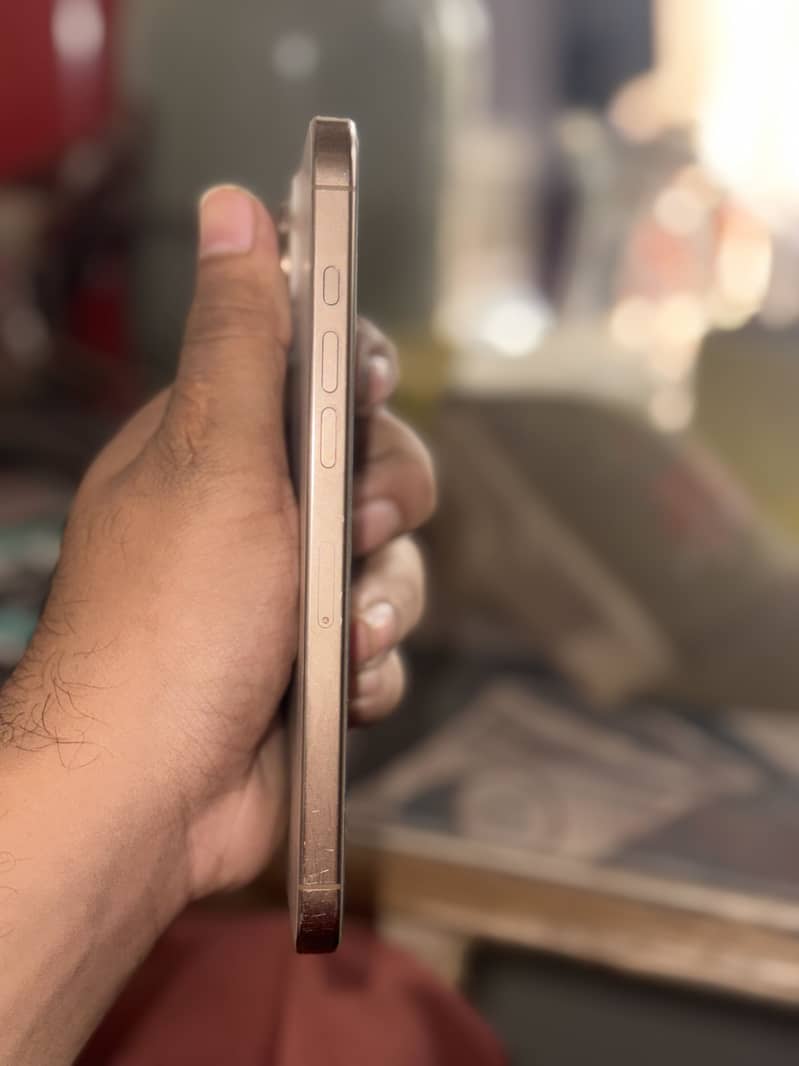Apple iPhone 16 Pro Max 1