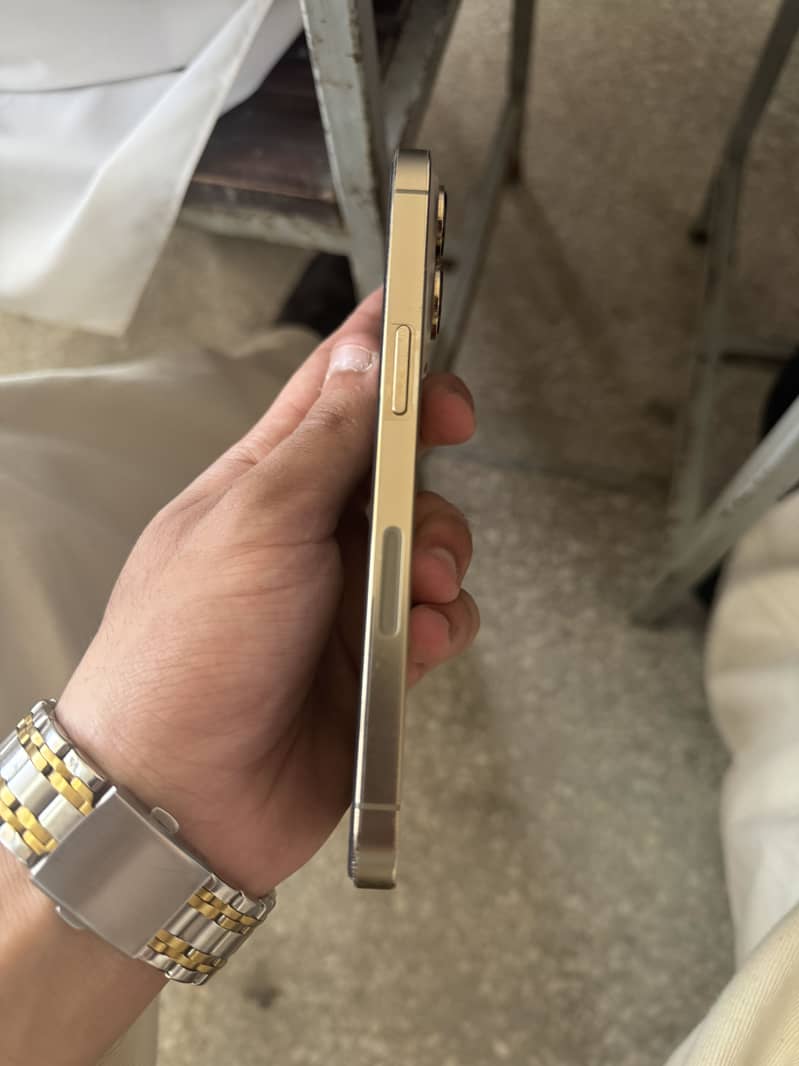 Apple iPhone 13 Pro 1