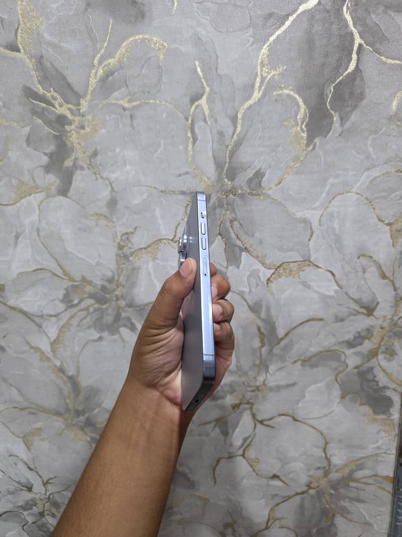 Apple iPhone 13 Pro Max 1