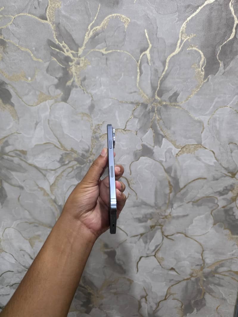 Apple iPhone 13 Pro Max 3