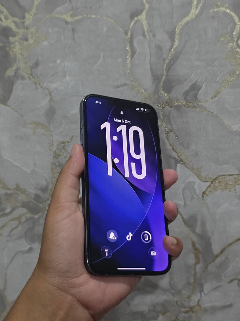Apple iPhone 13 Pro Max 5