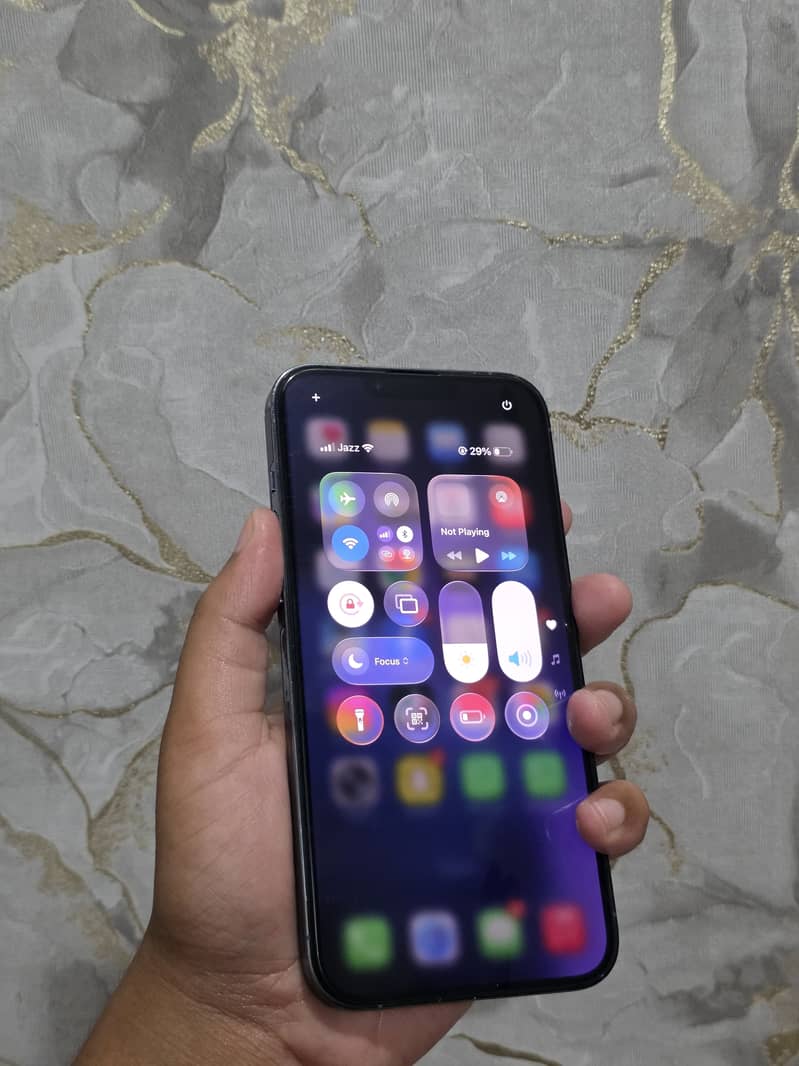 Apple iPhone 13 Pro Max 9