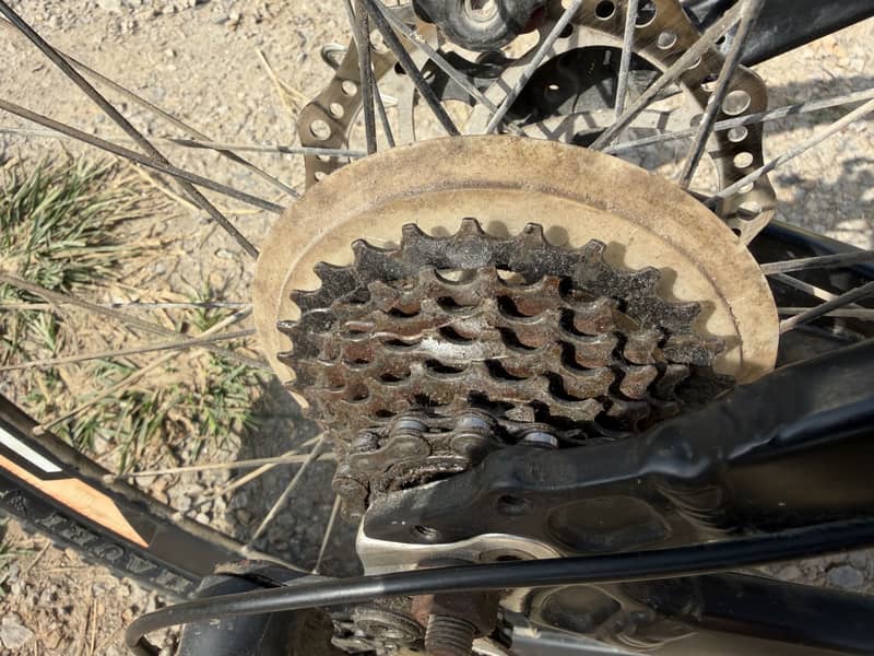 26 sized bicycle 12