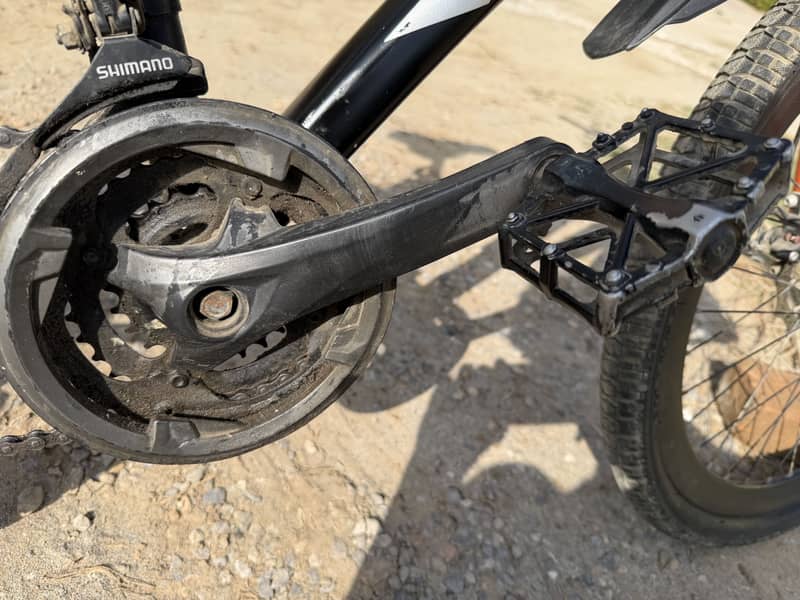 26 sized bicycle 19