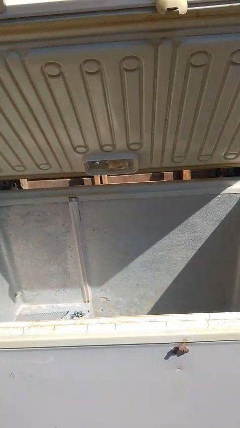 Single Door Deep Freezer – 9/10 Condition 1