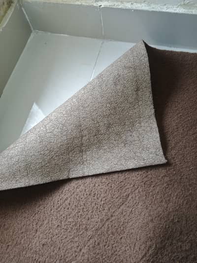 Decent Style Brown Room Carpet