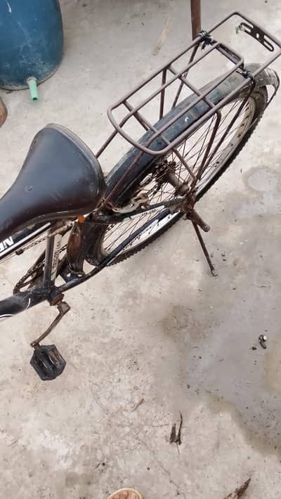 cycle of children