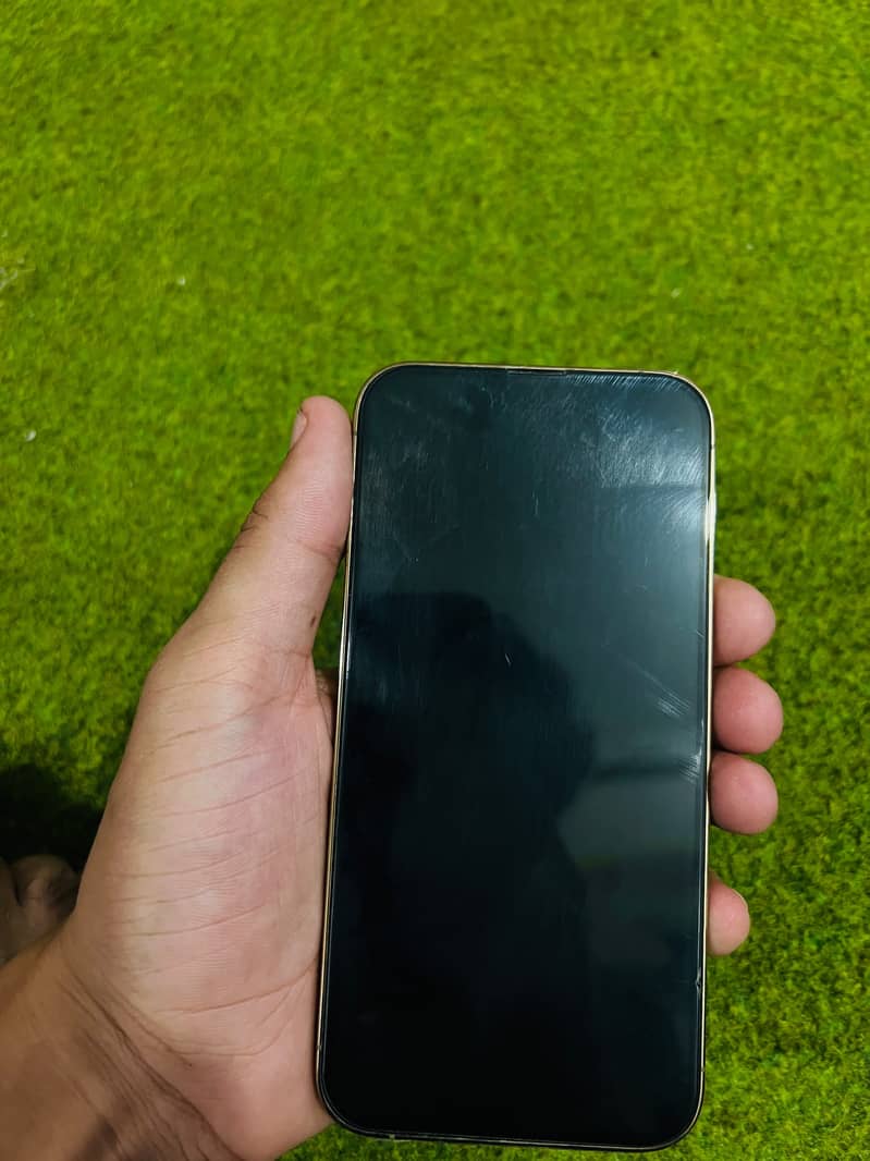 Apple iPhone 13 Pro 1
