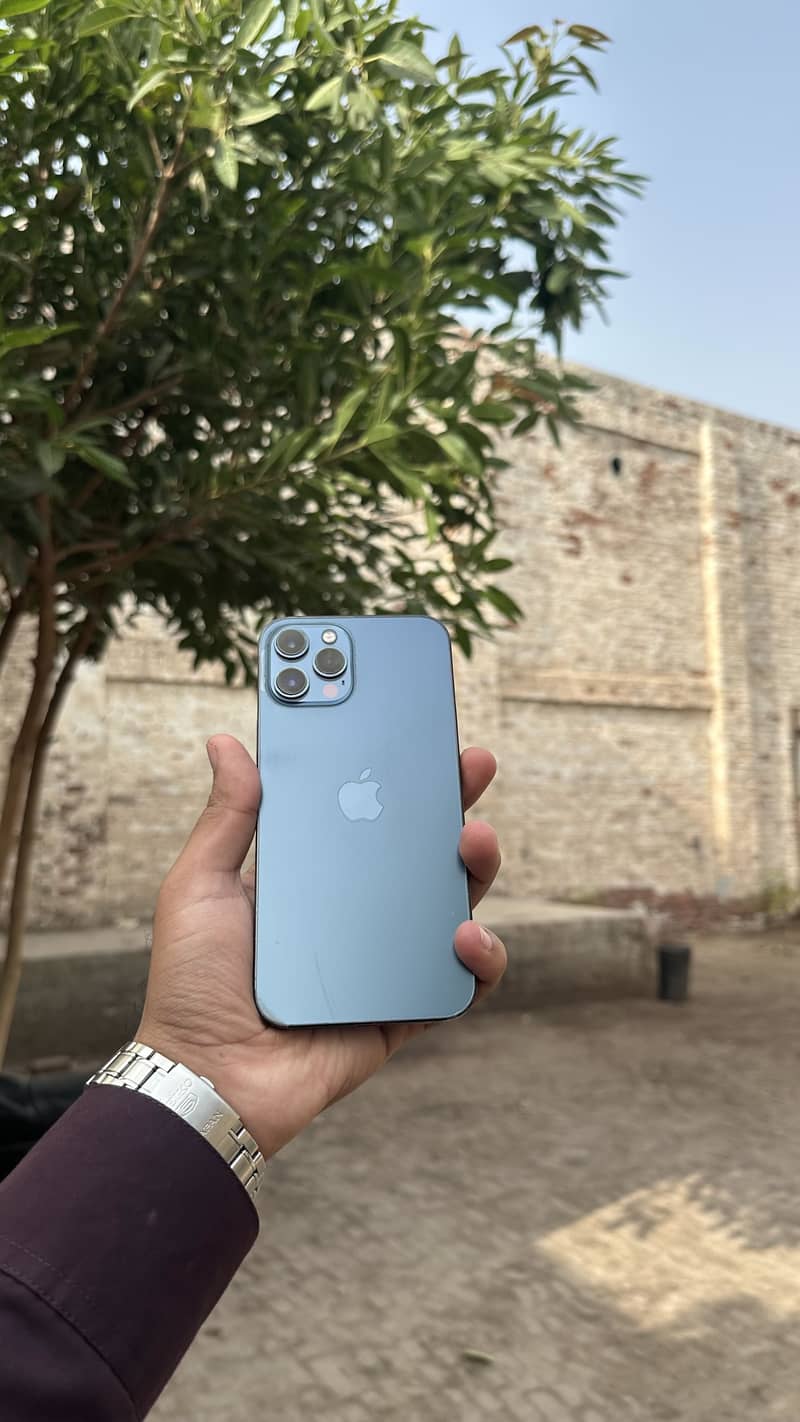 Apple iPhone 12 Pro Max 1