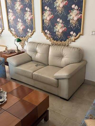 Sofa set - 2 seater sofa - leather sofa set for sale