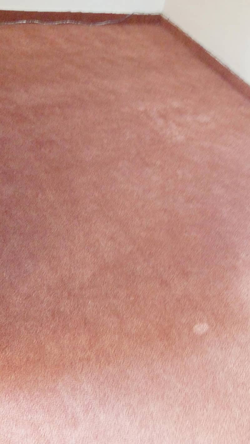 used carpet 4